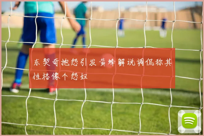 东契奇抱怨引发黄蜂解说调侃称其性格像个怨妇