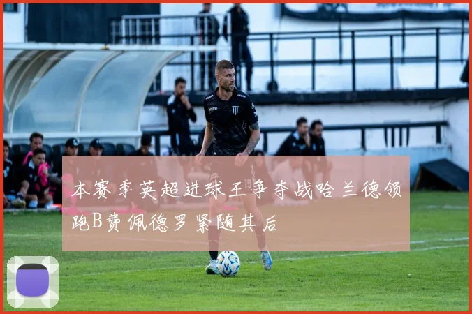 本赛季英超进球王争夺战哈兰德领跑B费佩德罗紧随其后