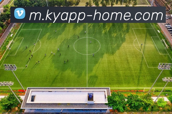 HOME体育APP 体育赛事宣传图
